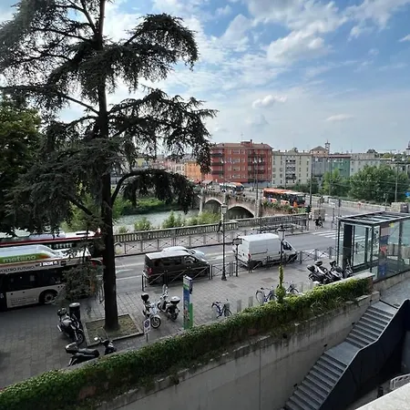 Rosa Di Appartamento Parma